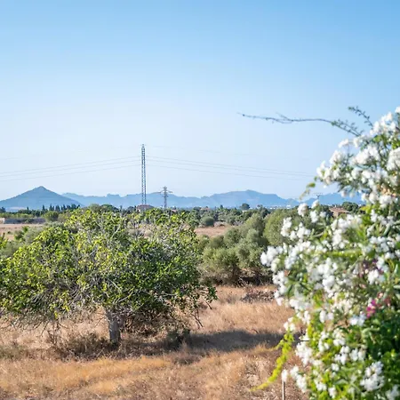 Santa Eulalia Villa *