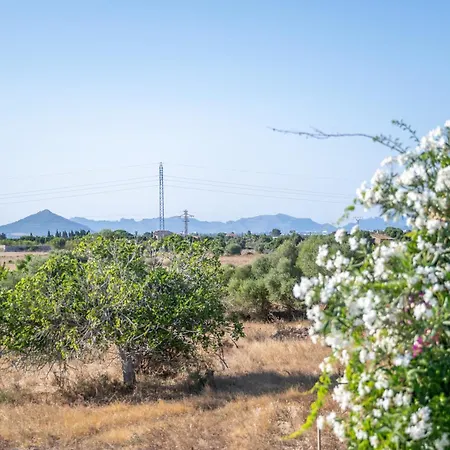 Santa Eulalia * سانتا مارجاليدا