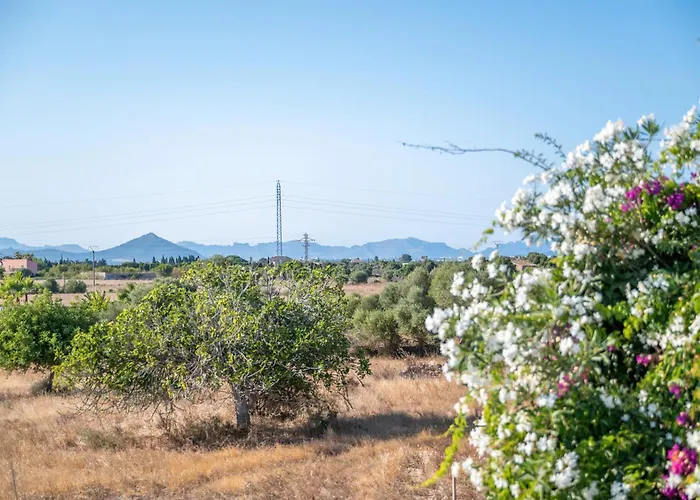 Santa Eulalia فيلة *