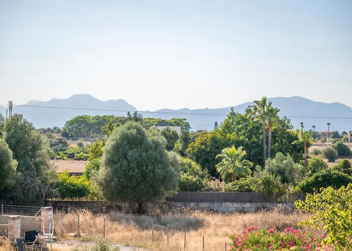 Santa Eulalia سانتا مارجاليدا