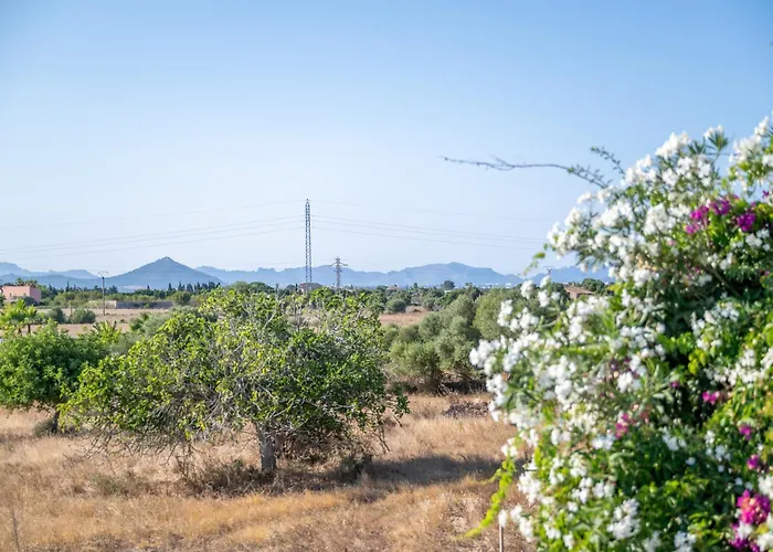 Santa Eulalia * سانتا مارجاليدا